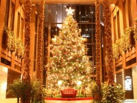 /album/christmas-pictures/a-3-jpg/